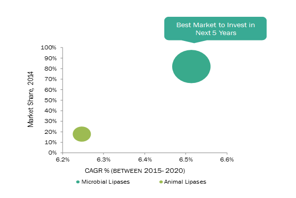 Lipase Market