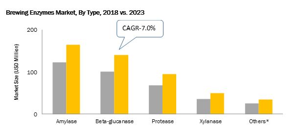 Brewing Enzymes Market