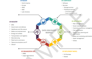 Data Discovery Market Segmentation