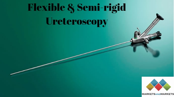 Ureteroscopy Market