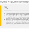 Immunohistochemistry Market