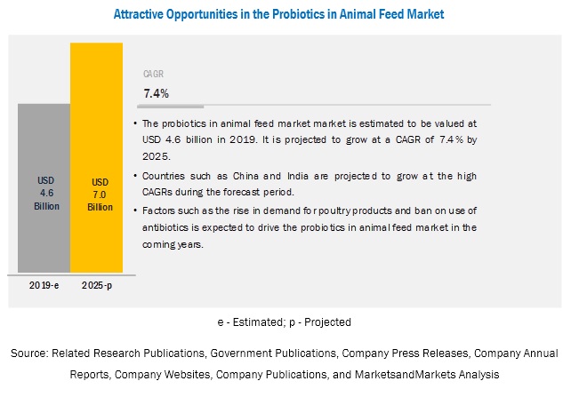 Probiotics in Animal Feed Market 