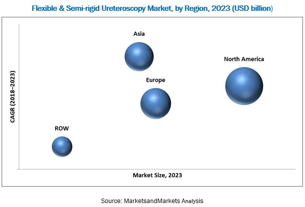 Ureteroscopy Market