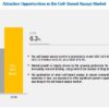 Cell based Assay Market