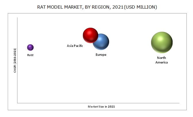 Rat Model Market