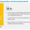 Nanocellulose Market, Nanocellulose