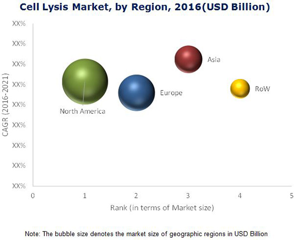 cell lysis market