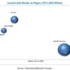 Levulinic Acid Market