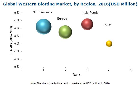 Western Blotting Market to reflect impressive growth in Biotechnology industry | MarketsandMarkets Blog