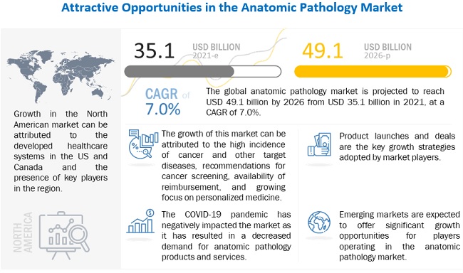 Anatomic Pathology Market