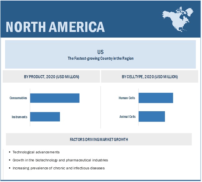 Cell Expansion Industry Market