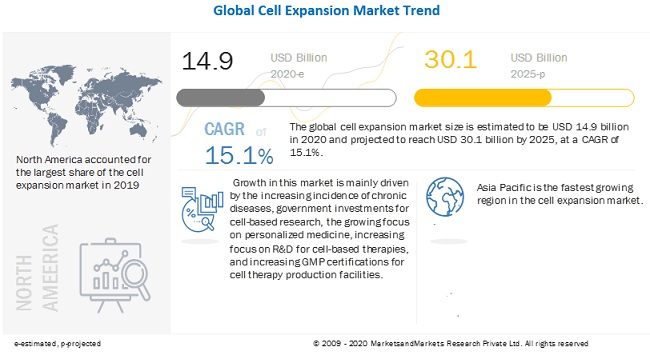 Cell Expansion Market