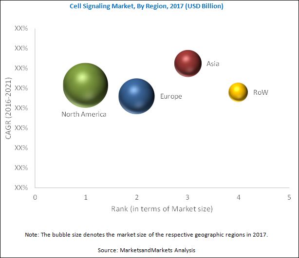 Cell Signaling Market