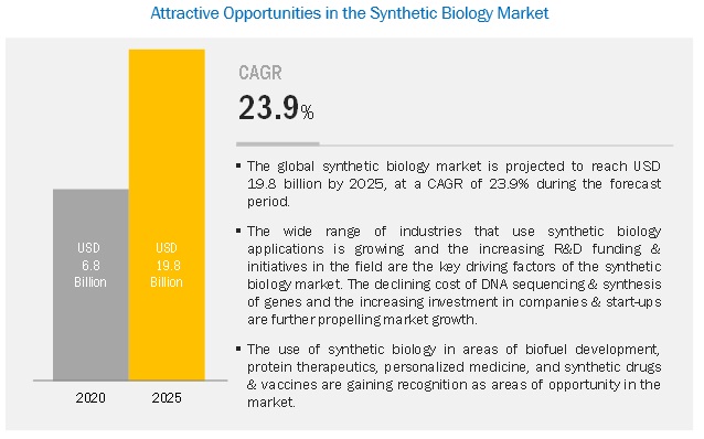 Synthetic Biology Market