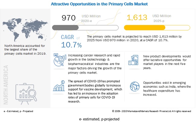 Primary Cells Market