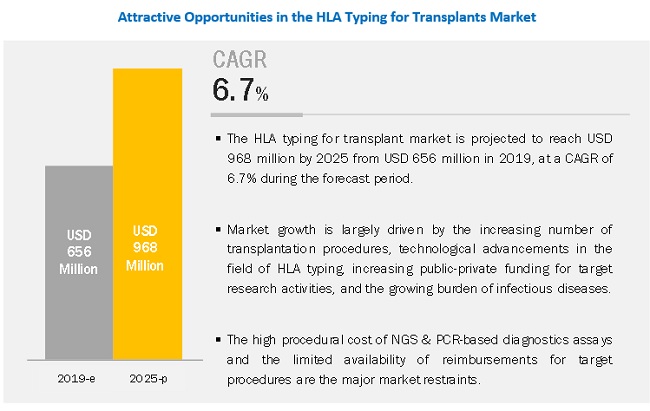 HLA Typing for Transplant Market