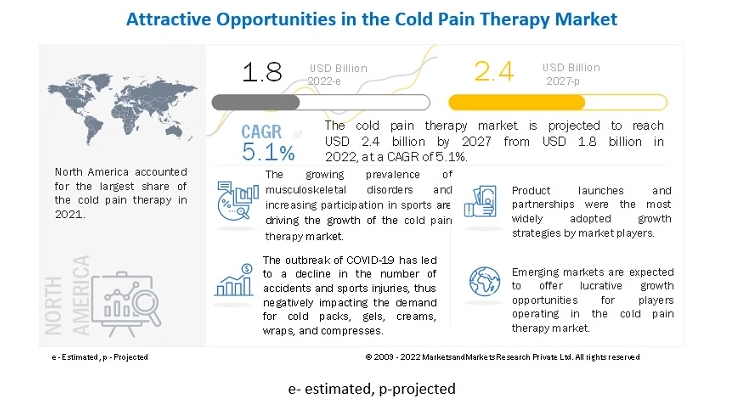 Cold Pain Therapy Market