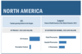 Cold Pain Therapy Market
