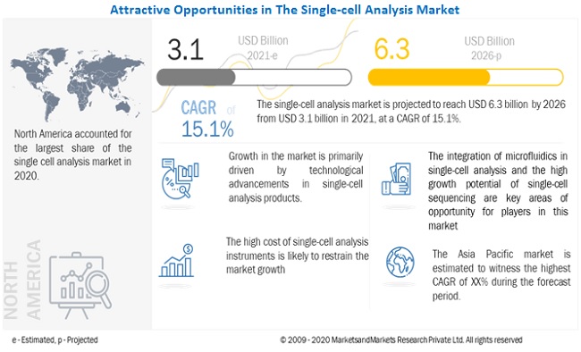 Single-cell Analysis Market