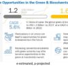 green-bio-solvents-market