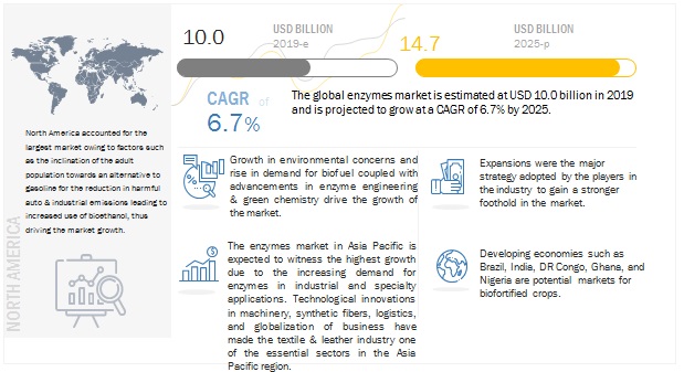 Enzymes Market Analysis with Ongoing Trends & Market Revenue Enzymes Market Analysis with Ongoing Trends & Market Revenue