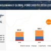 Electric Vehicle Market