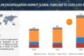 Solar Encapsulation Market