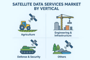 Satellite Data Services