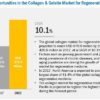 Collagen & Gelatin Market for Regenerative Medicine