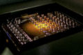 Biochips Market