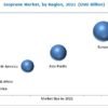 Isoprene Market worth 2.96 Billion USD by 2021
