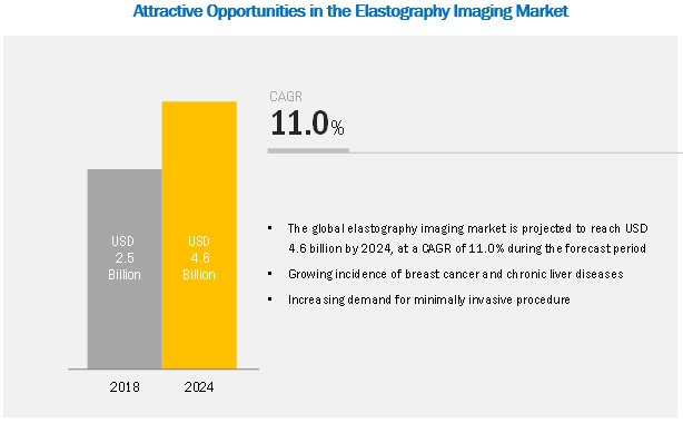 Elastography Imaging Market