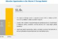 Vitamin D Therapy Market