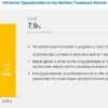 Biofilms Treatment Market