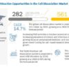 Cell Dissociation Market