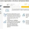 Nurse Call Systems Market