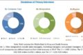 Extruded Polypropylene (XPP) Foam Market