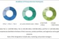 Polymer Stabilizer Market