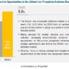 Lithium Iron Phosphate Batteries Market