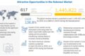 Robo-Taxi Market