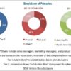 Automotive Power Distribution Block Market