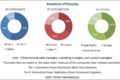 Automotive Power Distribution Block Market