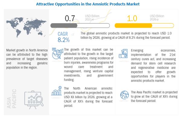Amniotic Products Market