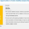 Protein Stability Analysis Market