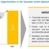 Vascular Graft Market