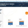 Carbon Offset/Carbon Credit Market