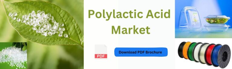 Polylactic Acid in Automotive Manufacturing: A Greener Approach ...