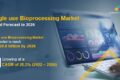 Single use Bioprocessing Market