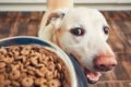 Pet Food Packaging Market