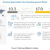 Contactless Payment Market